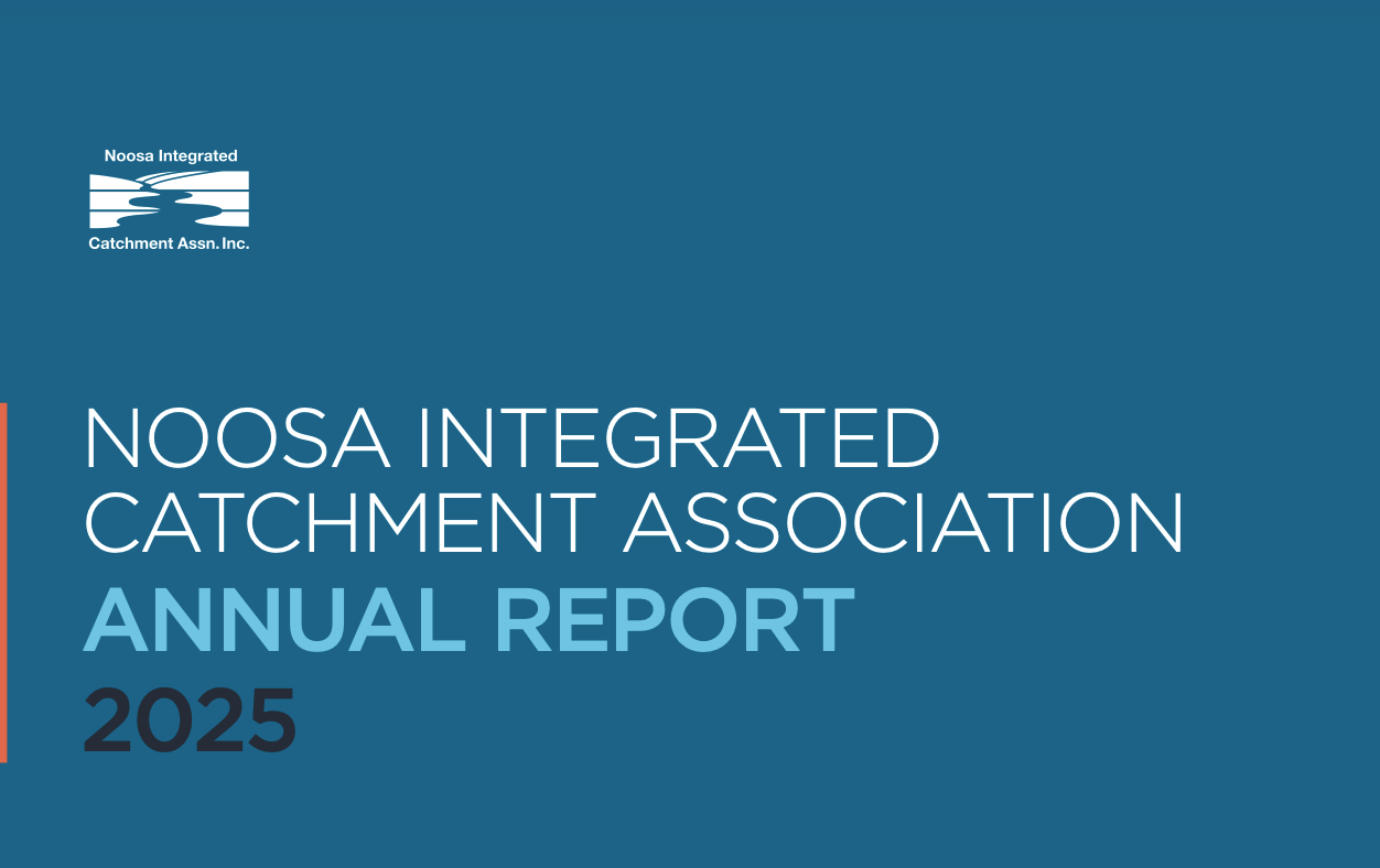 Annual Report 2025