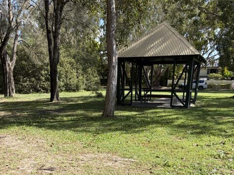 shelter shed nancy cato